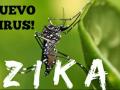 Zika Zika