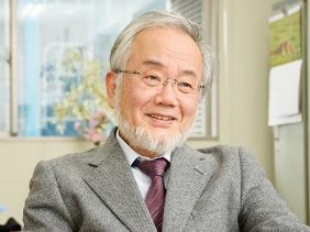 Prix Nobel de la Paix Prix Nobel de la Paix