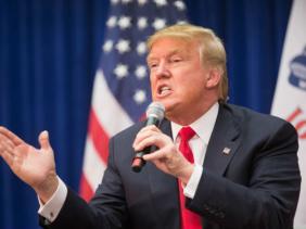 Donald Trump Donald Trump