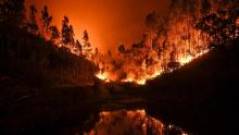 Incendie au Portugal