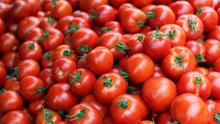 Agriculture Bio