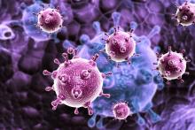Virus de la grippe