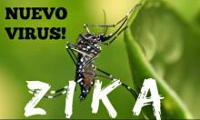 La COI se mobilise face au virus Zika