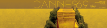 cannes